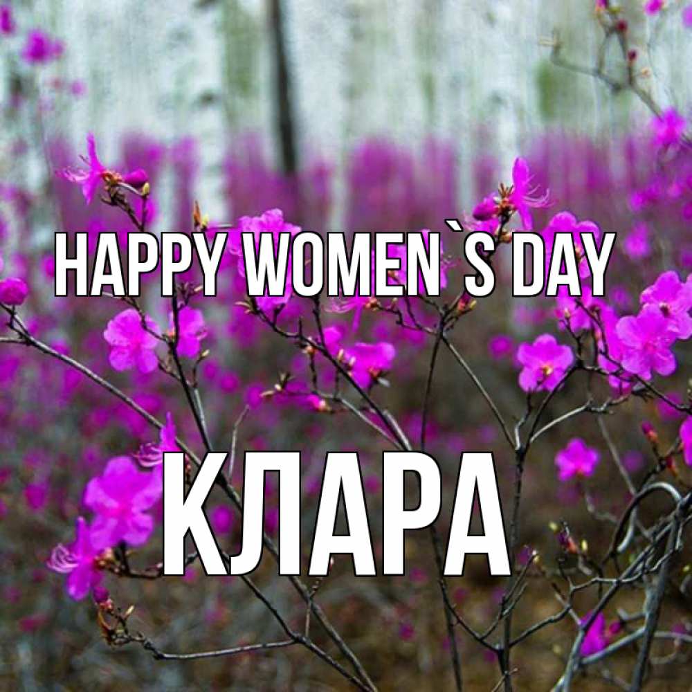 Greetings card с именем, КЛАРА happy women`s day дикие цветы Greetings with text for free download 